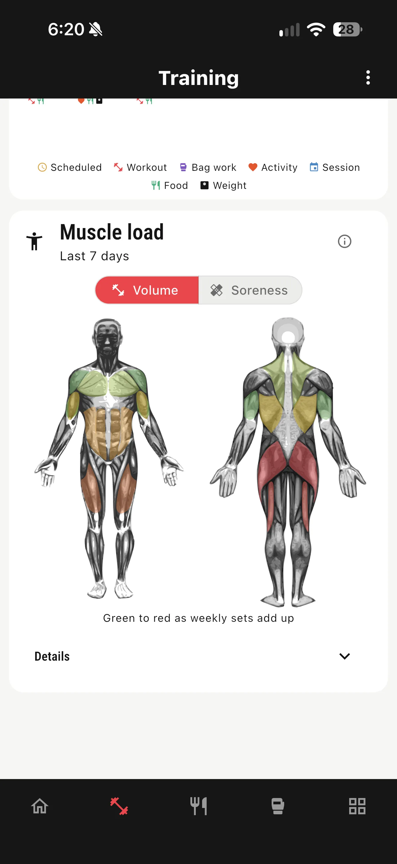 App muscle load diagram showing training volume by muscle group over the last 7 days