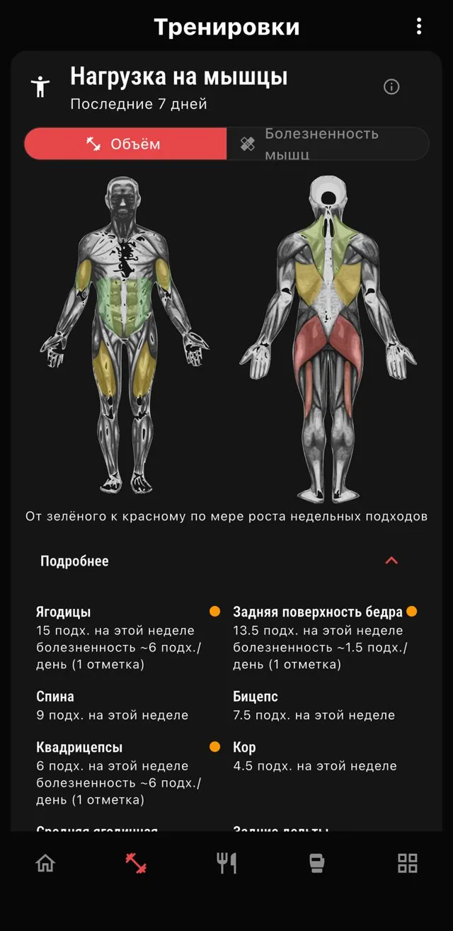Карта нагрузки на мышцы за последние 7 дней в приложении